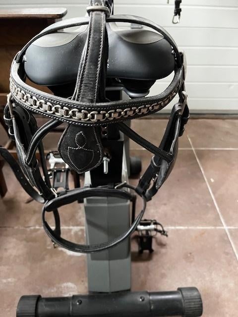 nieuw men hoofdstel, Dieren en Toebehoren, Ophalen of Verzenden, Nieuw, Overige soorten