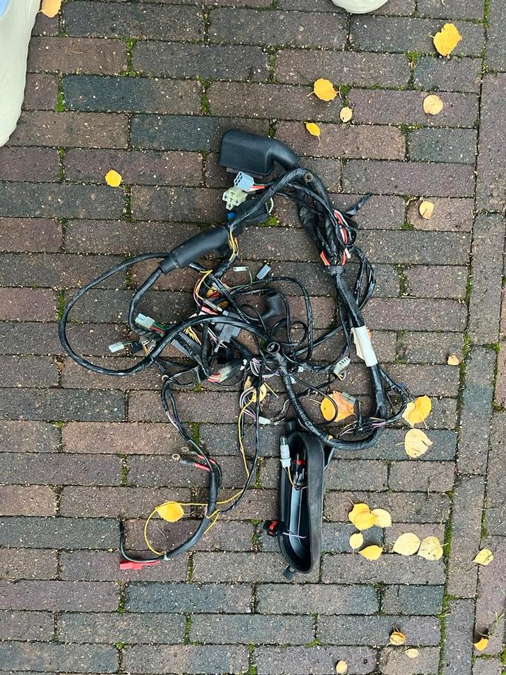 Gilera Runner kabelboom 125-180cc 2t, Motoren, Tuning en Styling, Ophalen of Verzenden