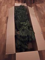 Kerstboom in goede staat, Diversen, Kerst, Ophalen