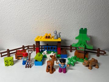 Duplo 10582 Bos Dieren beschikbaar voor biedingen