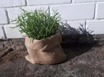 10 jute zakjes, Tuin en Terras, Bloembakken en Plantenbakken, Minder dan 30 cm, Minder dan 60 cm, Rond, Ophalen of Verzenden