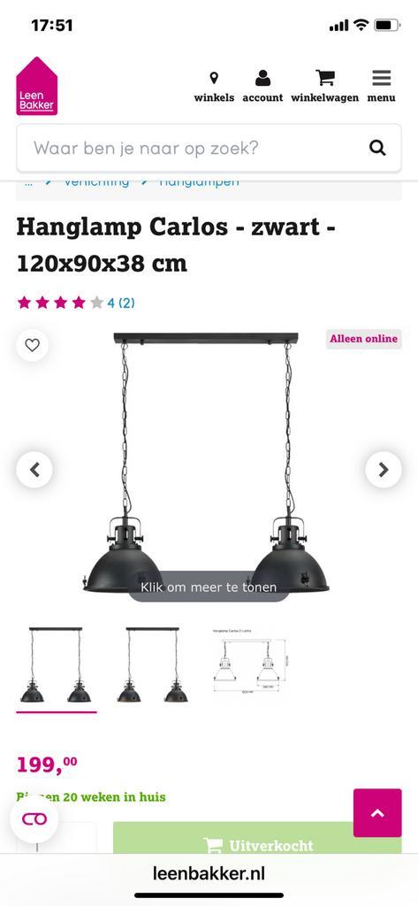 Carlos Hanglamp - Leen Bakker nieuw in doos, Huis en Inrichting, Lampen | Hanglampen, Nieuw, 50 tot 75 cm, Metaal, Ophalen of Verzenden