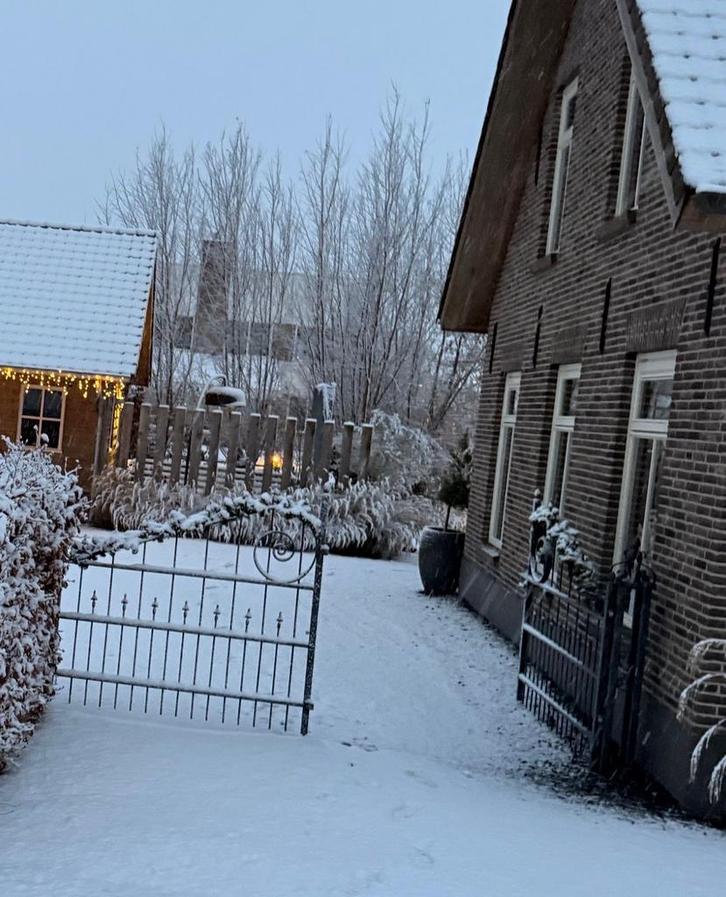 Sierhekwerk/ ijzeren poort, Tuin en Terras, Tuinhekken en Hekwerk, Gebruikt, Sierhekwerk, IJzer, Met poort, Ophalen