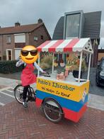 Opknapper bakfiets voor carnaval / loopgroep, Fietsen en Brommers, Ophalen of Verzenden, Gebruikt, Goederen