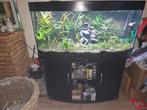 Juwelvision 260 panorama, Ophalen, Zo goed als nieuw, Gevuld zoetwateraquarium