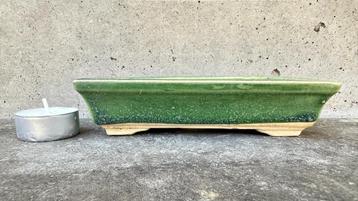 Bonsai schaal pot 15x9x3,5cm (5*) beschikbaar voor biedingen