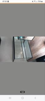 Knaagdier terrarium, Dieren en Toebehoren, Kooi, Zo goed als nieuw, 75 tot 110 cm, Ophalen