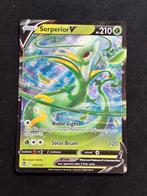 Serperior V - Silver Tempest 007/195, Ophalen of Verzenden, Zo goed als nieuw