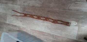 EDC Esprit bruin leren riem NIEUW + kaartje  beschikbaar voor biedingen