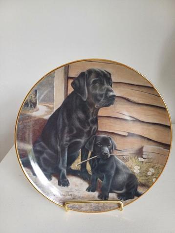Wandbord Like Father, like son  beschikbaar voor biedingen