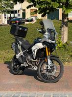 Triumph Tiger 900 Rally Pro 2022, Motoren, Motoren | Triumph, Handvatverwarming, 888 cc, 3 cilinders, Particulier