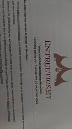 Efteling ticket, Eén persoon, Ticket of Toegangskaart