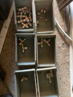 +/- 100 Uponor koppelingen / persfitting, Ophalen