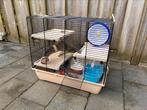 Hamsterkooi inclusief veel accesoires, Dieren en Toebehoren, Knaagdieren en Konijnen | Hokken en Kooien, Kooi, Minder dan 75 cm