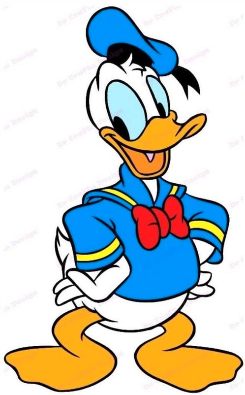 10 Donald Duck-jaargangen 1991 - 2000, Boeken, Strips | Comics, Zo goed als nieuw, Complete serie of reeks, Europa, Ophalen