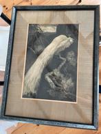 Schilderij Pauw A. J van t hoff, Antiek en Kunst, Ophalen of Verzenden