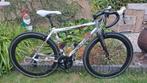 Racefiets Salsa Campeon 52cm, Gebruikt, Carbon, 49 tot 53 cm, Meer dan 20 versnellingen