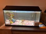 Aquarium 60x30x30, Dieren en Toebehoren, Vissen | Aquaria en Toebehoren, Ophalen of Verzenden, Zo goed als nieuw, Leeg aquarium