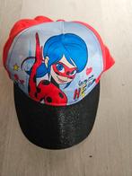 Miraculous ladybug pet, Ophalen of Verzenden, Zo goed als nieuw, Jongen of Meisje
