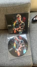 Oasis picture disc Brabanthallen, Cd's en Dvd's, Vinyl | Pop, Ophalen of Verzenden, Nieuw in verpakking