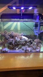 Aquarium met verlichting, Dieren en Toebehoren, Vissen | Aquaria en Toebehoren, Ophalen of Verzenden, Zo goed als nieuw, Leeg aquarium