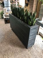 Plantenbakken op maat gemaakt voor uw interieur, Ophalen of Verzenden, Nieuw, Hout, Binnen