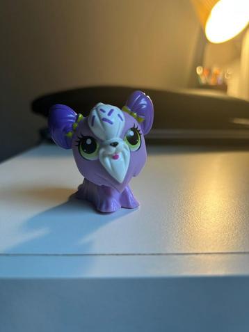 Pet shop beschikbaar voor biedingen