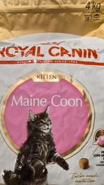 Royal canin maine coon kitten 4kg, Dieren en Toebehoren, Dierenvoeding, Ophalen of Verzenden, Kat