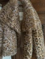 Fake fur jasje panterprint mt m/l, Verzenden, Nieuw, Maat 38/40 (M), Beige