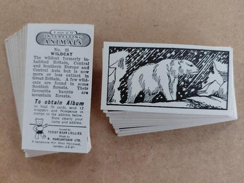 Interesting Animals complete set 50 trade cards dieren 1953, Verzamelen, Overige Verzamelen, Ophalen