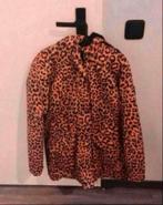 Warme Gevoerde WinterJas Met Capuchon. 176. Zgan., Meisje, Ophalen of Verzenden, Zo goed als nieuw, Cars jeans