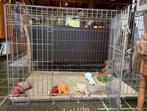 Hondenbench extra large, Dieren en Toebehoren, Ophalen, Zo goed als nieuw