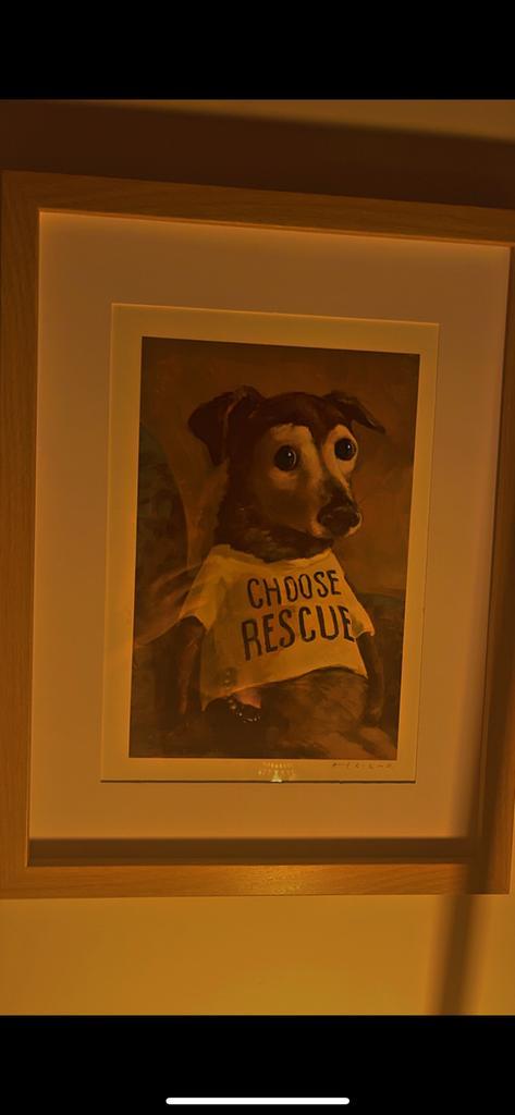 Alison Friend gesigneerde kunstprint “Choose Rescue”, Huis en Inrichting, Woonaccessoires | Lijsten, Zo goed als nieuw, Minder dan 50 cm
