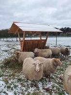 slechts een op voorraad !! hooiruif alpaca hert ree schaap, Ophalen of Verzenden, Nieuw