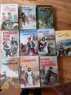 Joh. Veenhof, Boeken, Ophalen of Verzenden, Zo goed als nieuw