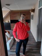 Rode katoenen blouse met beige palmboom borduursel maat m, Kleding | Dames, Maat 38/40 (M), JS Millennium, Nieuw, Ophalen of Verzenden