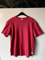 Zara t shirt heren maat M, Kleding | Dames, T-shirts, Maat 38/40 (M), Ophalen of Verzenden, Roze, Zo goed als nieuw