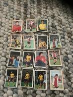 Feyenoord panini vanderhout 1978-1979, Verzamelen, Ophalen of Verzenden, Zo goed als nieuw, Feyenoord, Poster, Plaatje of Sticker