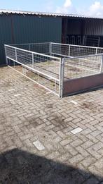 Gegalvaniseerde hekken., Dieren en Toebehoren, Schapen, Geiten en Varkens, Meerdere dieren, Schaap