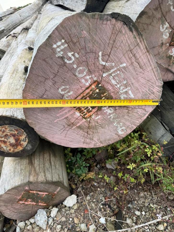 Te koop partij lange ( 14 meter ) meerpalen, Doe-het-zelf en Verbouw, Hout en Planken, Zo goed als nieuw, Balk, Overige houtsoorten