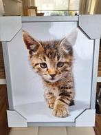 Mooie wanddecoratie kitten / kat, inclusief lijst (nieuw), Ophalen, Nieuw