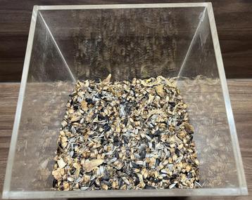 Zonnebloem zaden ik heb er duizend en één. €1,00 Per envelop beschikbaar voor biedingen