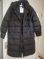 Nieuw ongedragen met krtje zwarte jas Raizzed mt l, Zwart, Maat 42/44 (L), Raizzed, Nieuw