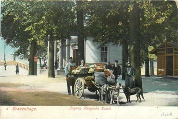 (701-138-033) Den Haag Ingang Haagsche Bosch beschikbaar voor biedingen