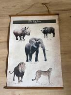 Vintage poster van de big five, Ophalen of Verzenden, Overige thema's