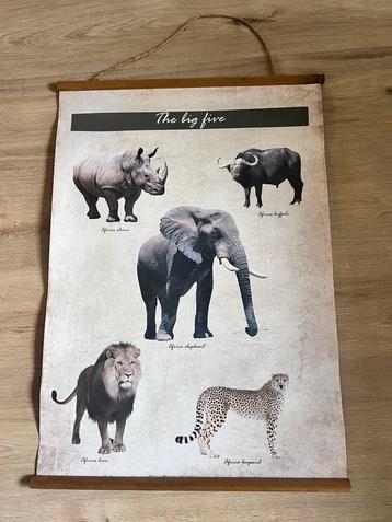 Vintage poster van de big five beschikbaar voor biedingen