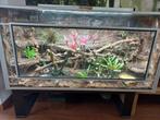 Groot terarium met 3d wand, Ophalen, Zo goed als nieuw, Terrarium of Paludarium