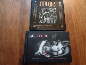 City Cats en Cattitude beschikbaar voor biedingen