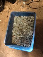 grote Bak vol 4x18 bouten en moeren, Ophalen, Nieuw, Minder dan 50 mm, Bouten of Moeren