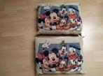 z.g.a.n. 2 mooie ( sier ) kussens van Disney, Ophalen of Verzenden, Zo goed als nieuw